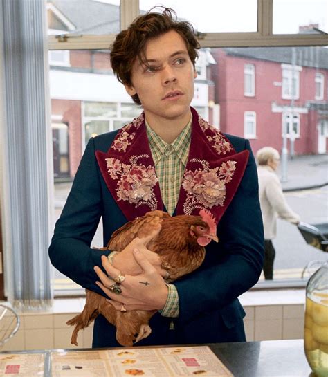 harry styles in gucci with a chicken|Here’s Harry Styles In The New Gucci Campaign.